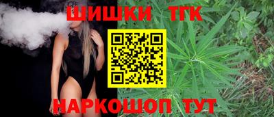 индика Новодвинск