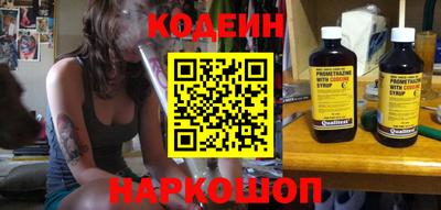 индика Новодвинск
