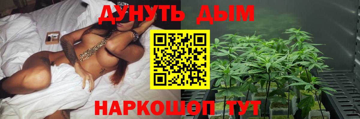 Канабис сатива  МАРИХУАНА Ganja  МАРИХУАНА SATIVA & INDICA  Урус-Мартан  Вход с VPN 